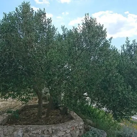 Apartmani Kocka