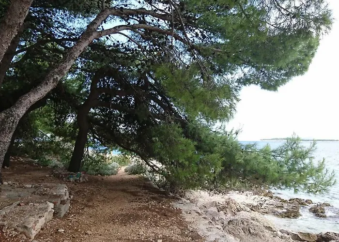 Apartmani Kocka Apartment *